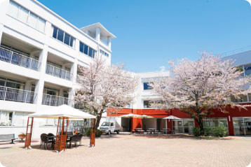 中庭